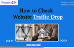 Check Website traffic drop